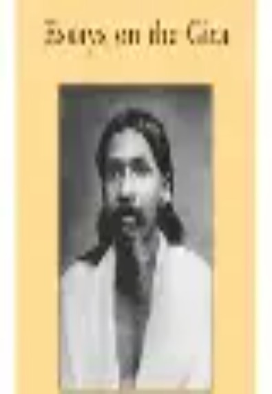 Essays on the Gita
